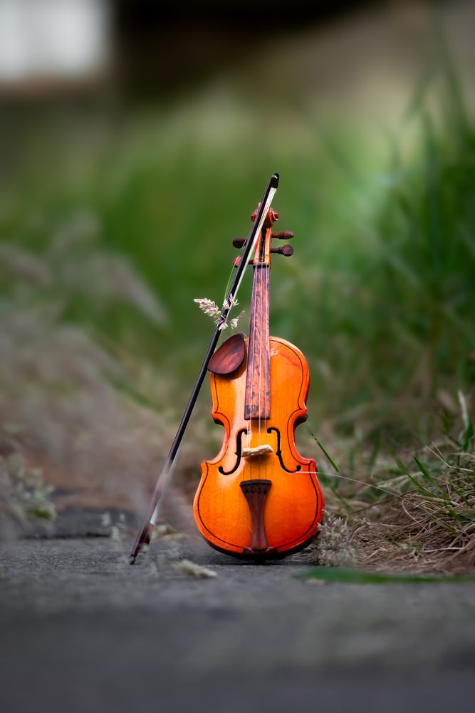 Street still life with miniature violin
