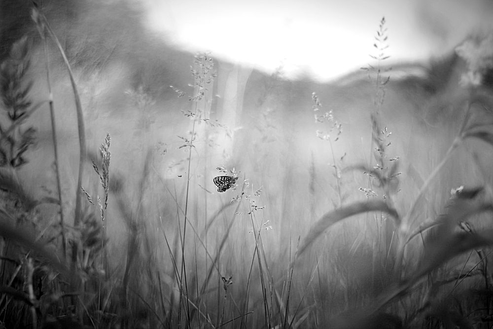 Photograph by Валентина Евсеева