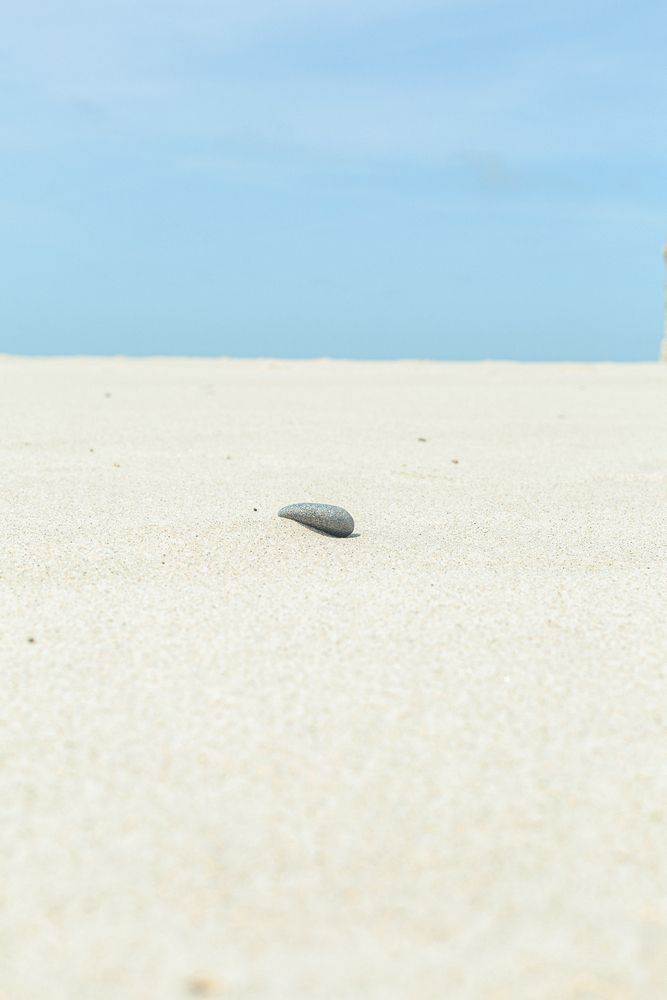 Photograph by Пронина Оля