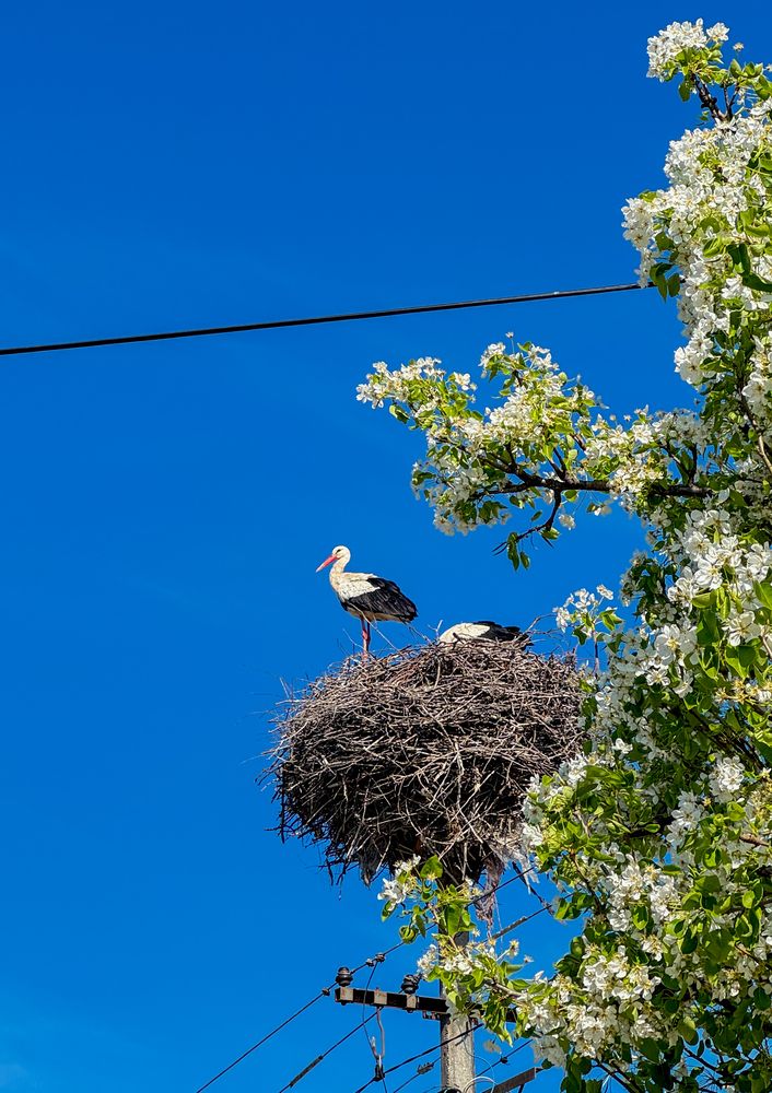 Photograph by Дарья Логовская