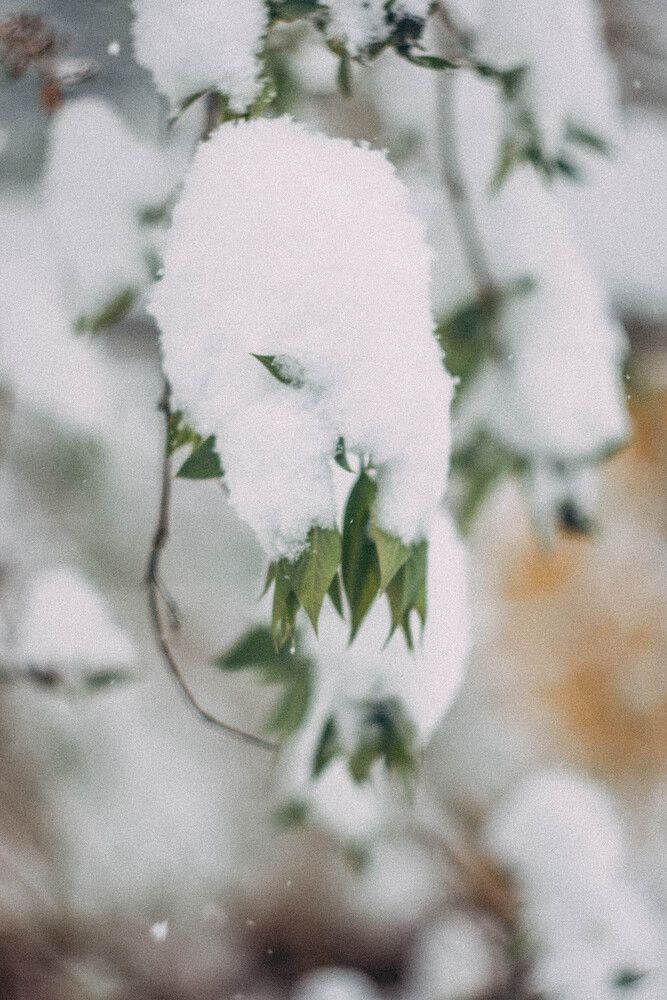 Photograph by Сергей Помелов