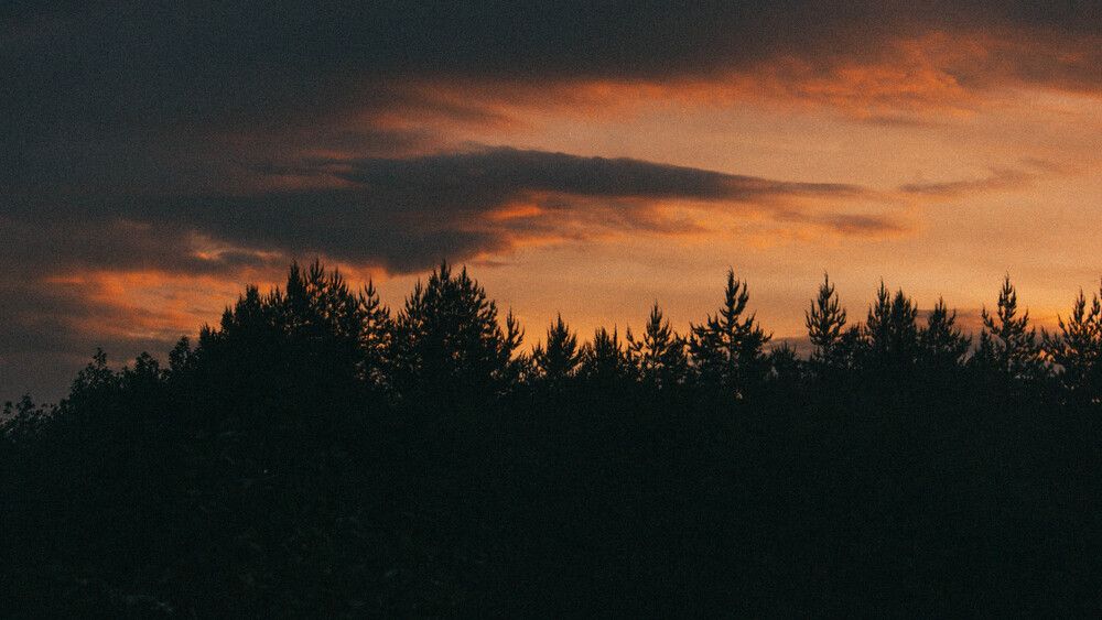 Фотография автора 