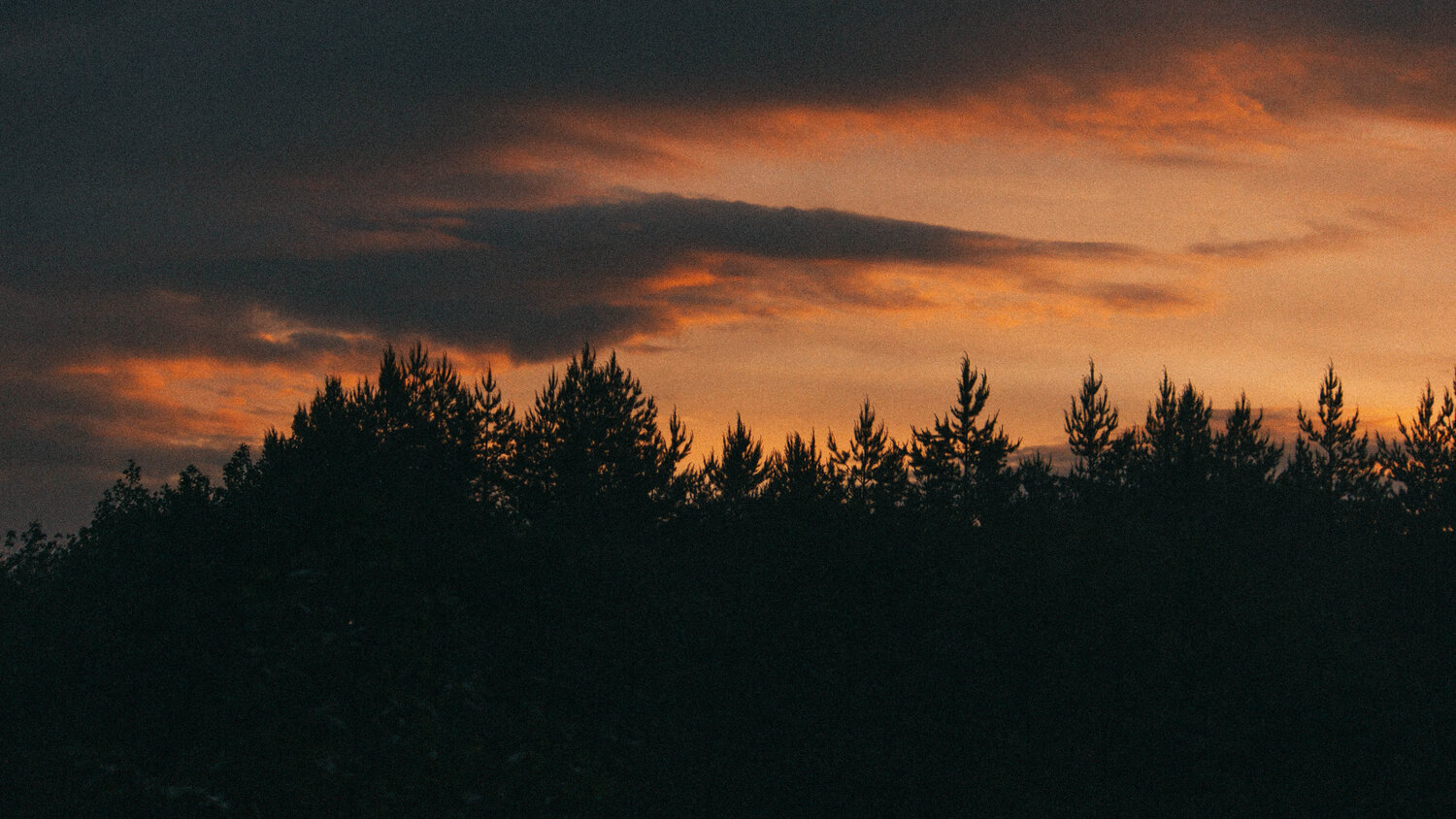 Photo #13667927