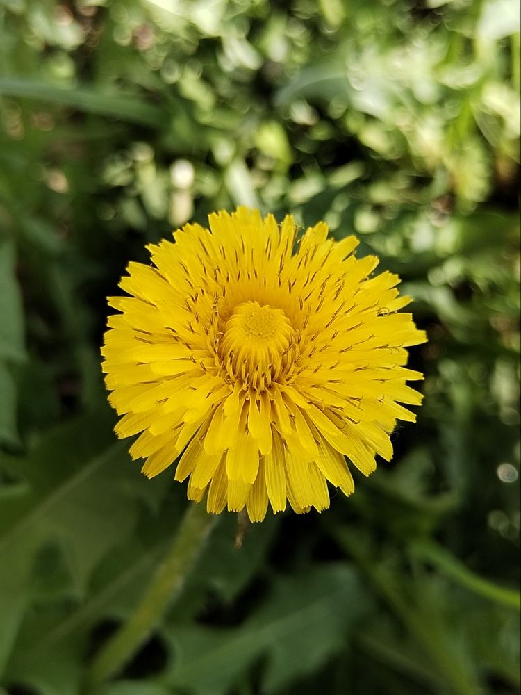 Photograph by Ирина Филиппова