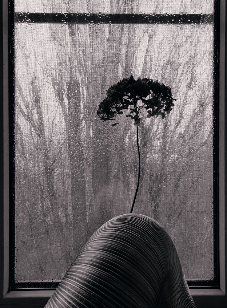 Photograph by Светлана Ищенко