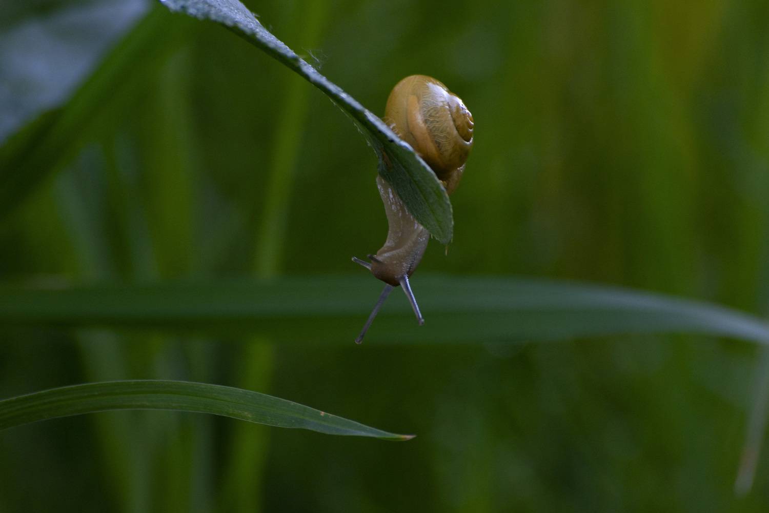 Photo #13668102