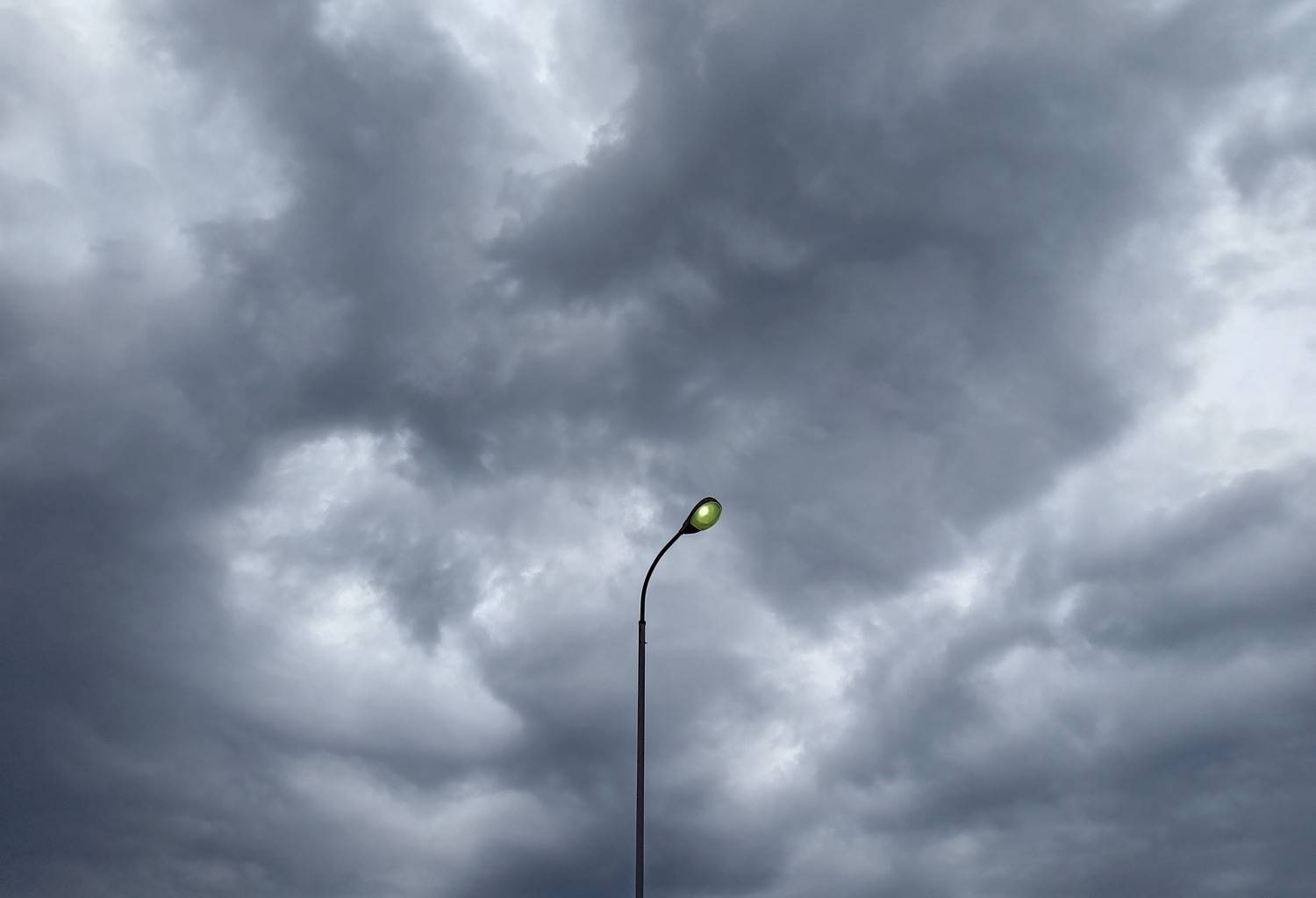 Photo #13668115