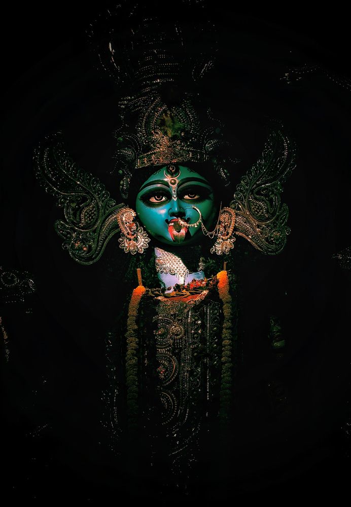Фотография автора Santanu Mallick