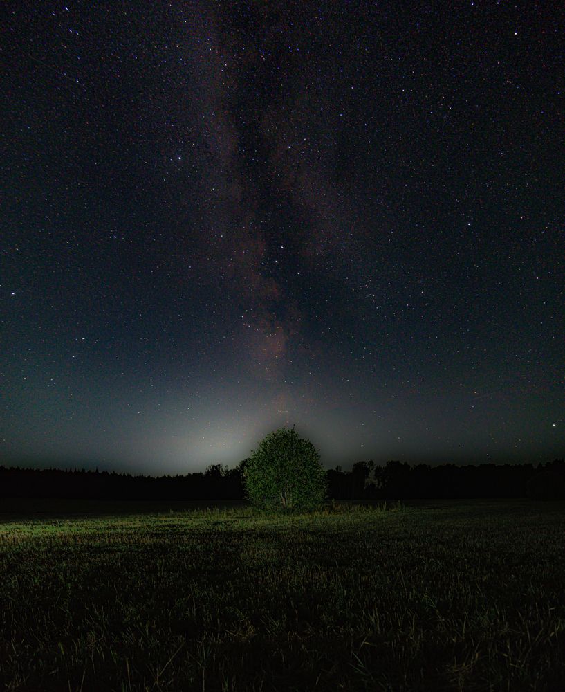 Photo #13668176