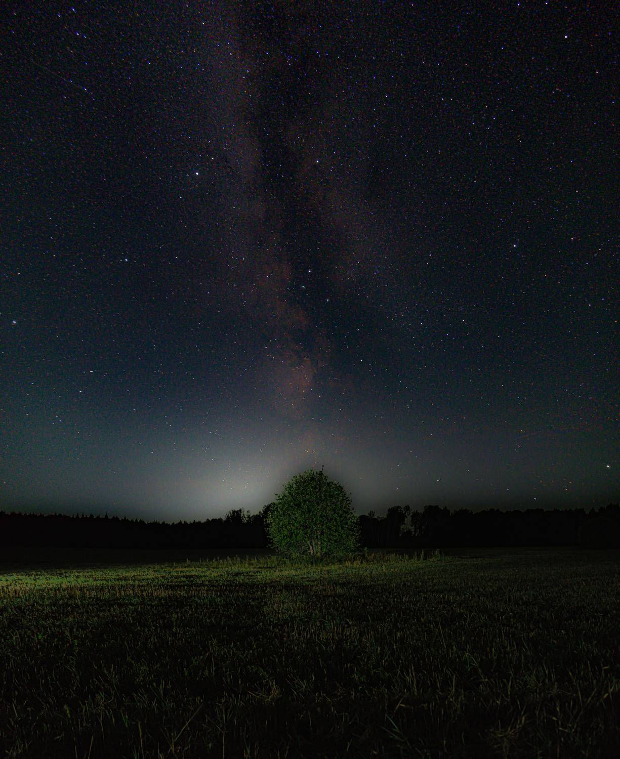 Photo #13668176