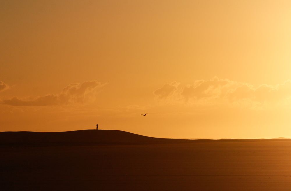 Photo #13668207