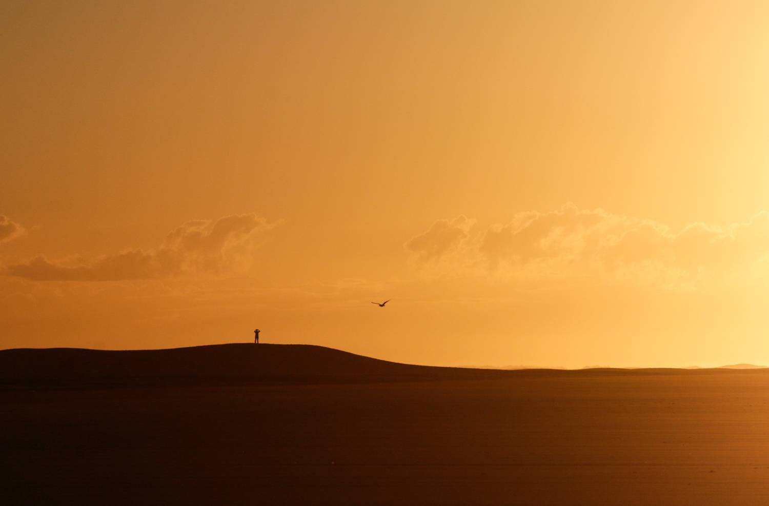 Photo #13668207