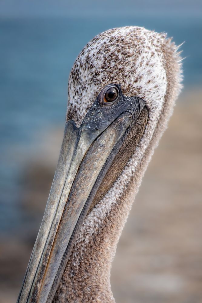 Photograph by Jeff Cooley