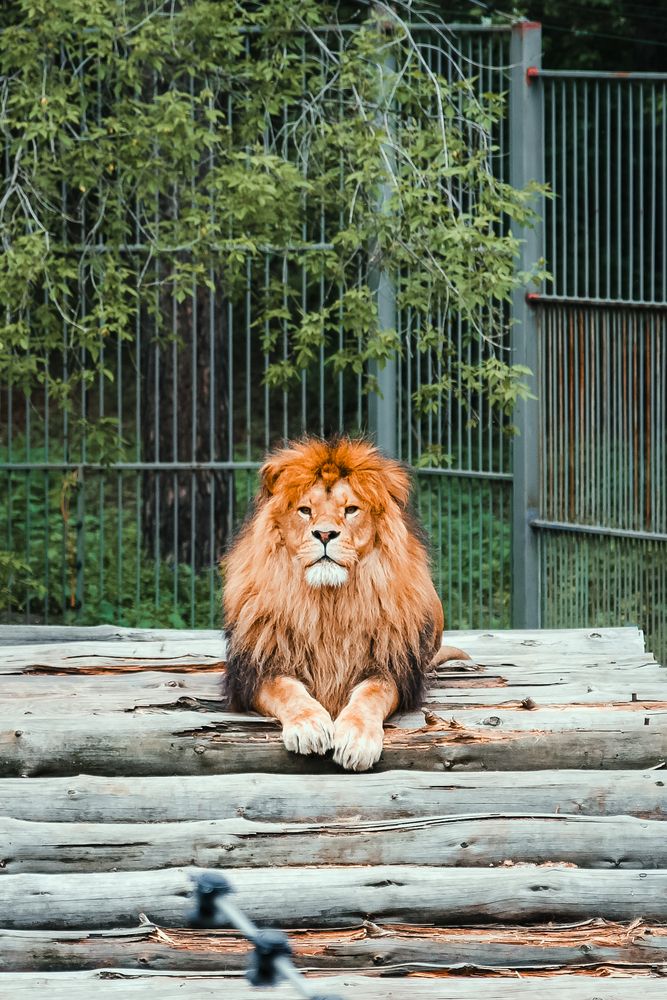 Photograph by Vladimir Bezborodov