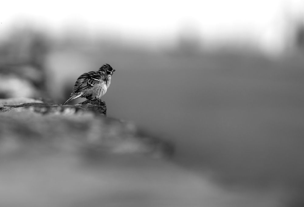 Photograph by Владимир Елькин