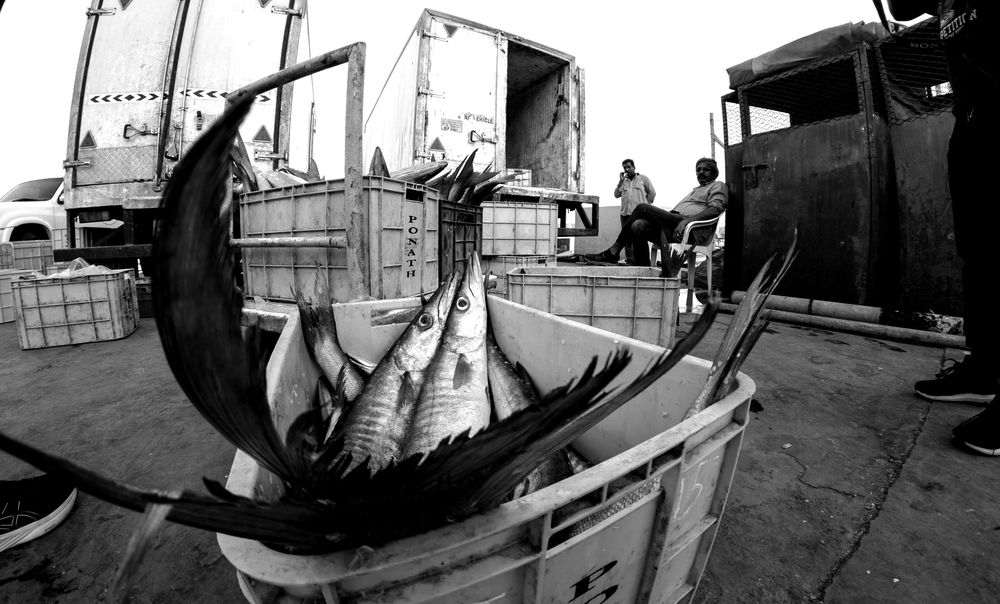 Photograph by Raghuvamsh Chavali