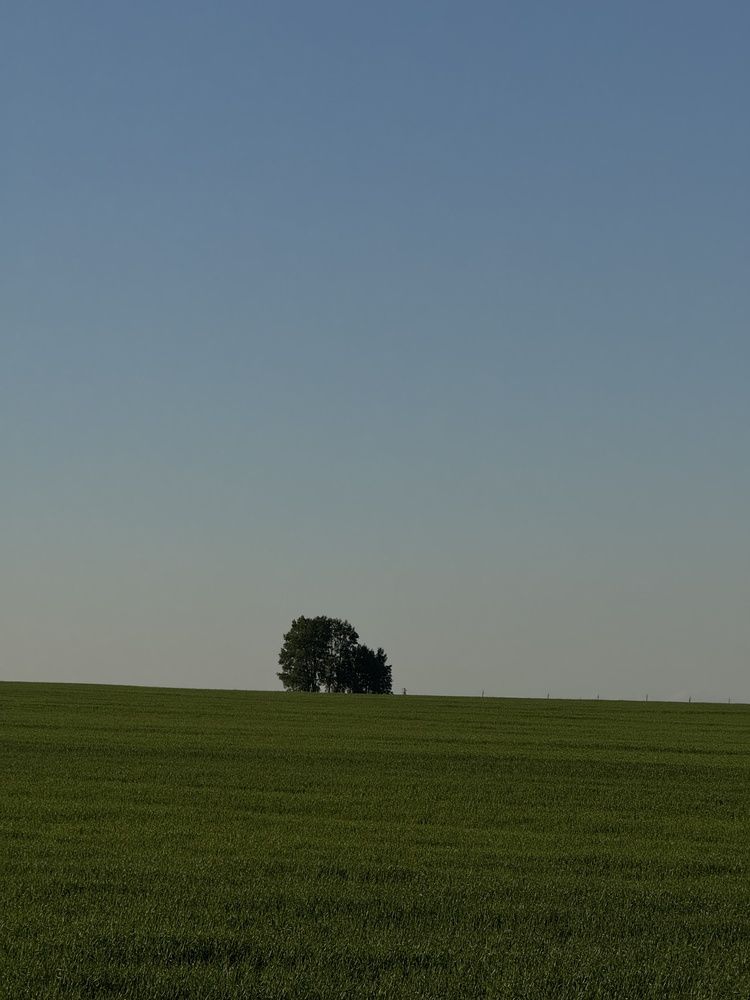 Photograph by Юлия Ханналайнен