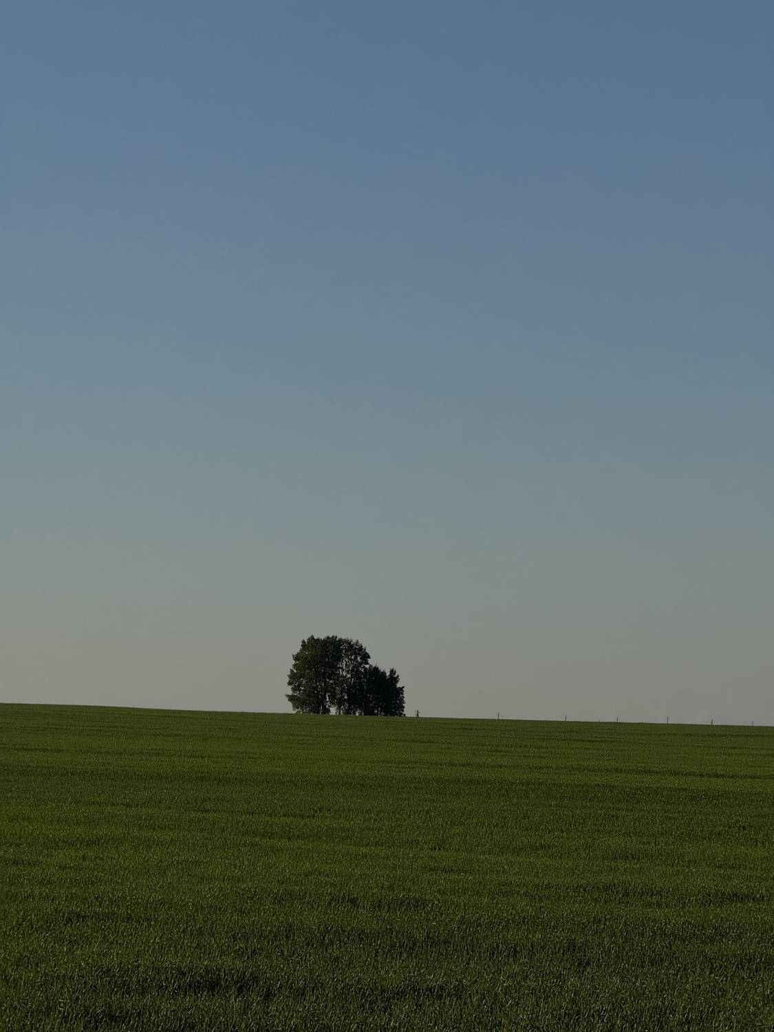 Photo #13668432