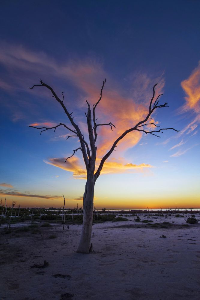 Nubes para su soledad.