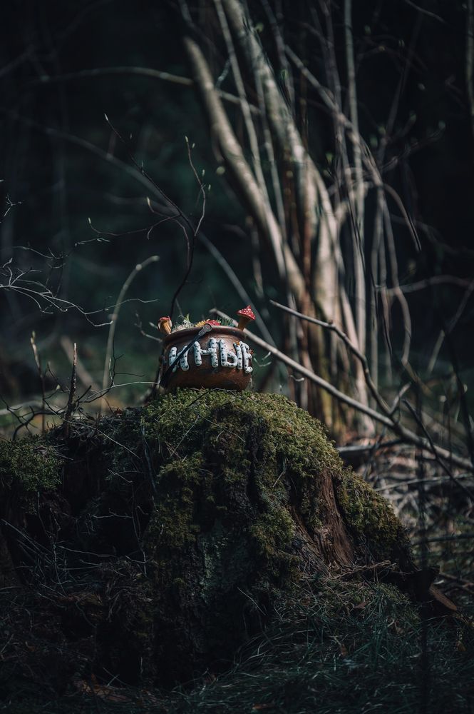 Photograph by Валерия Богатырева