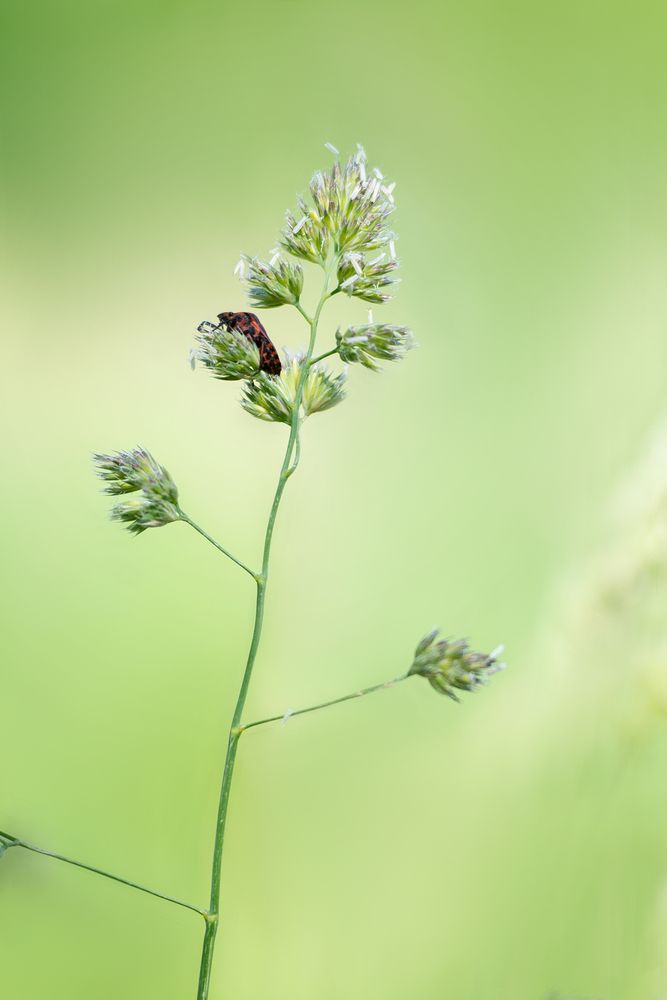 Photograph by наталья залогина