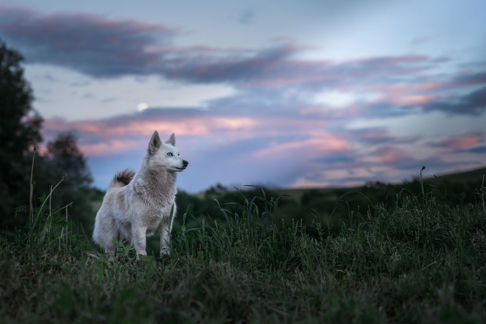 Photograph by Dina Damotseva