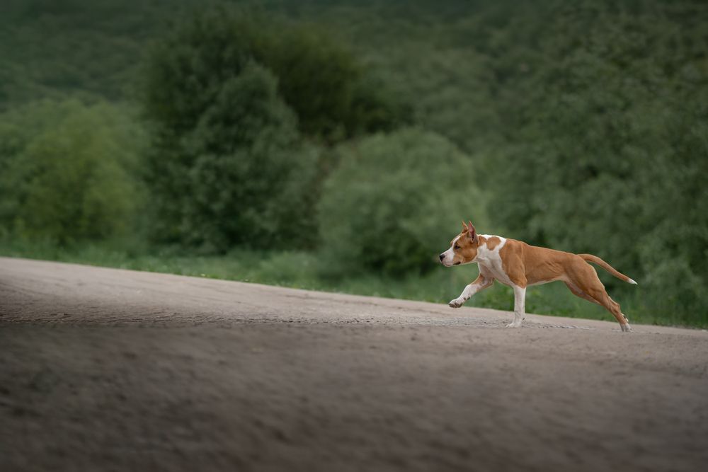 Photograph by Dina Damotseva