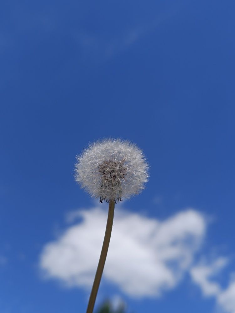 Photograph by Валентина Ливада