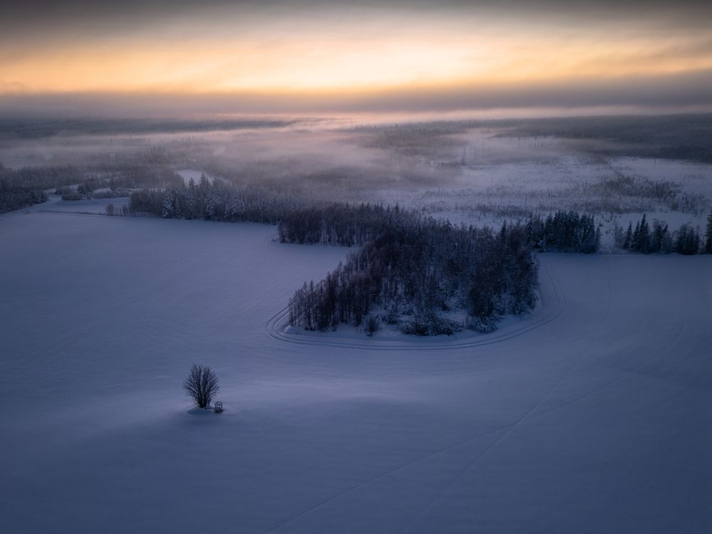 Photograph by Георгий Бычковский
