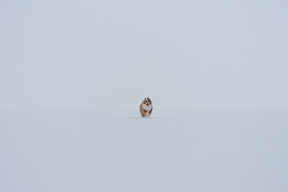 Photograph by Алёна Губинская
