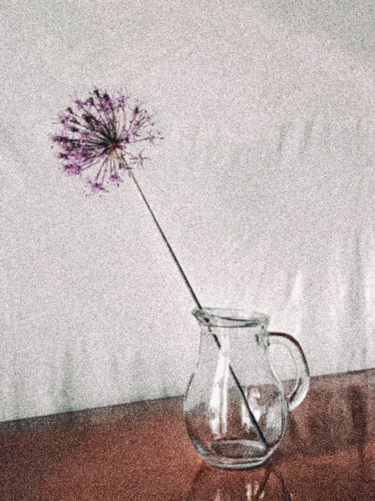 Photograph by Наталья Москвина