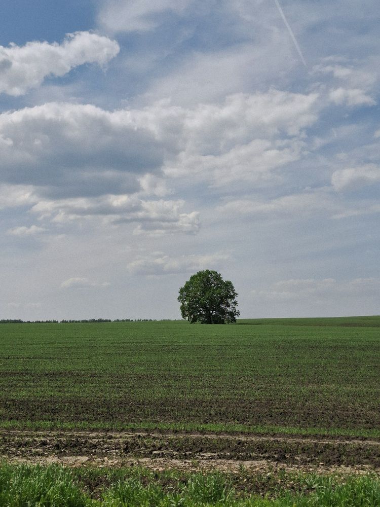 Photograph by Катерина Солдатова