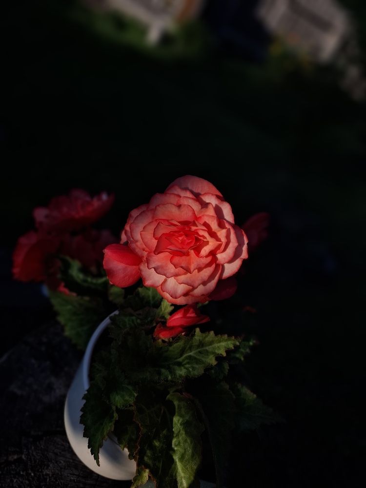 Photograph by Катерина Солдатова
