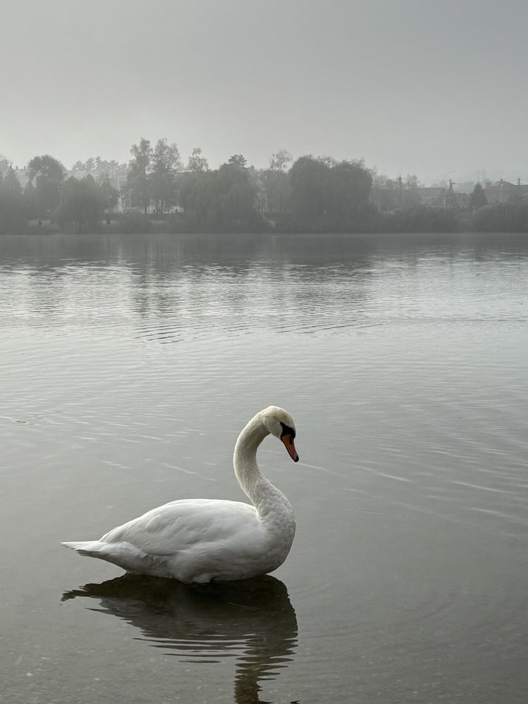 Photograph by Татьяна Семёнова