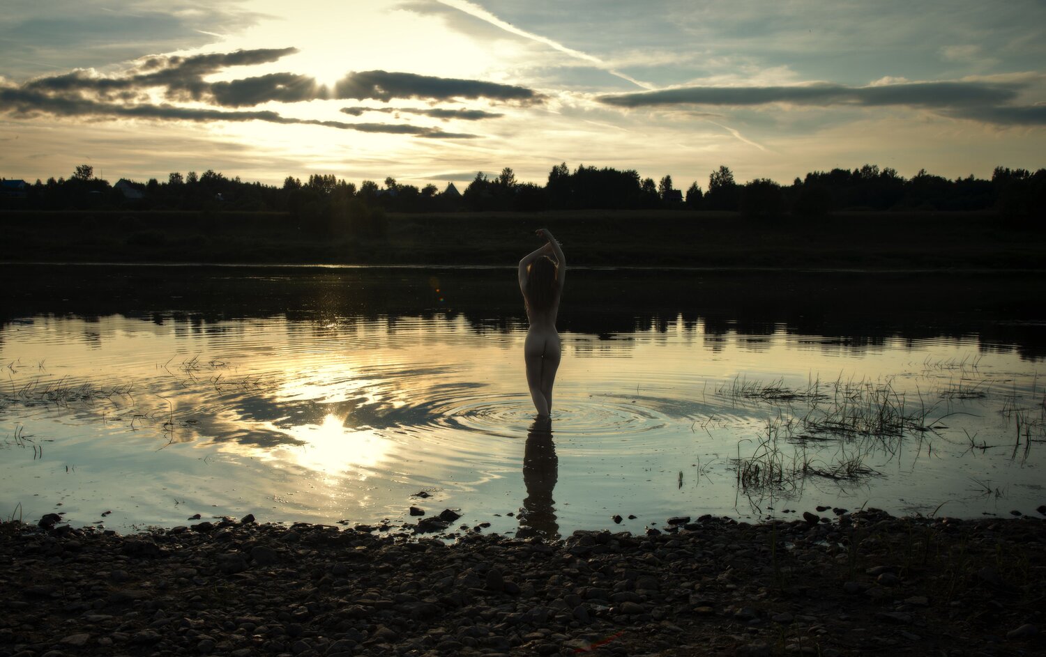 Photo #13669094
