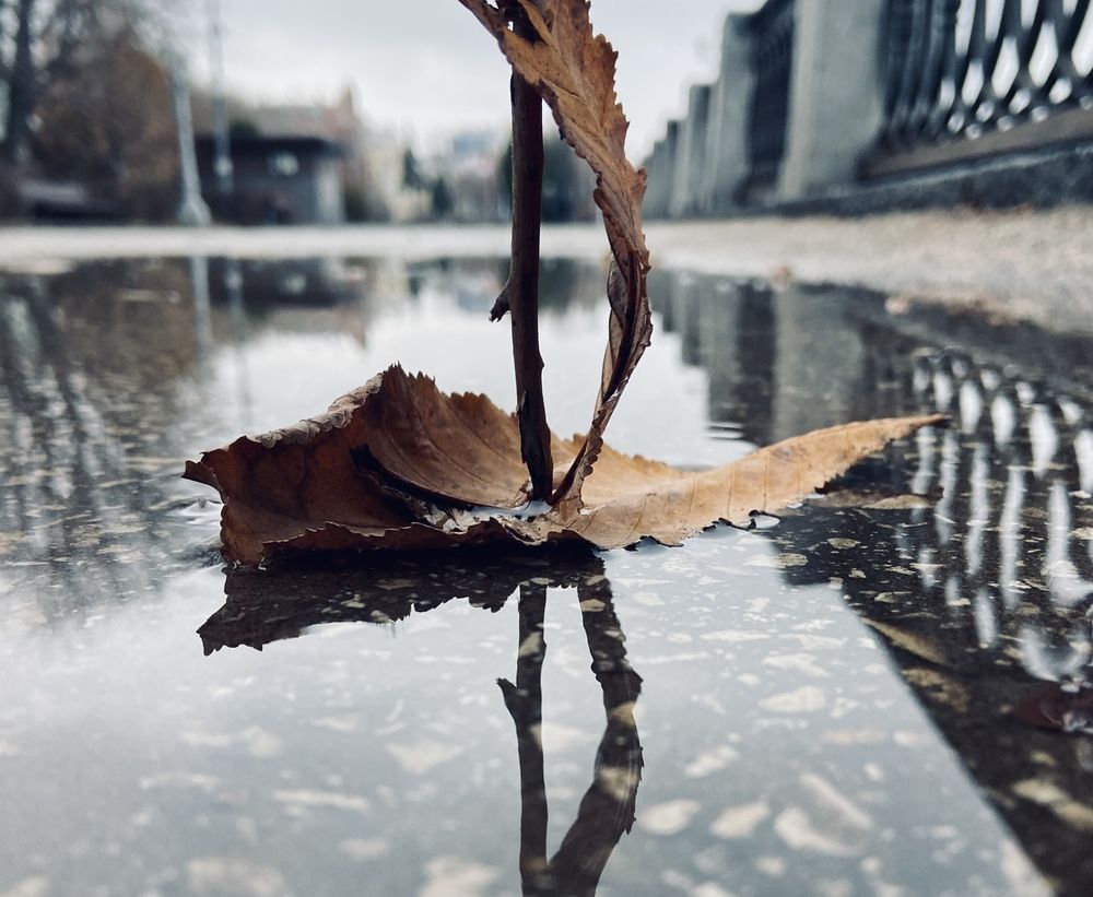 Фотография автора Алексей