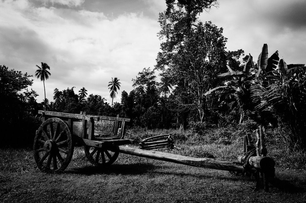 Silent Wagon