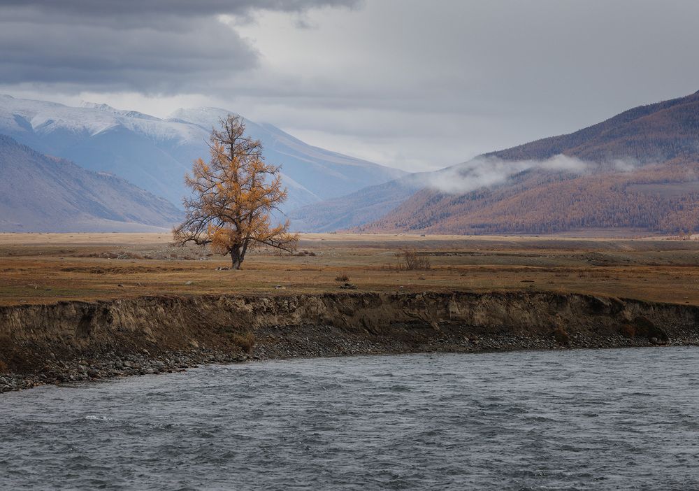 Photograph by Морозов Сергей