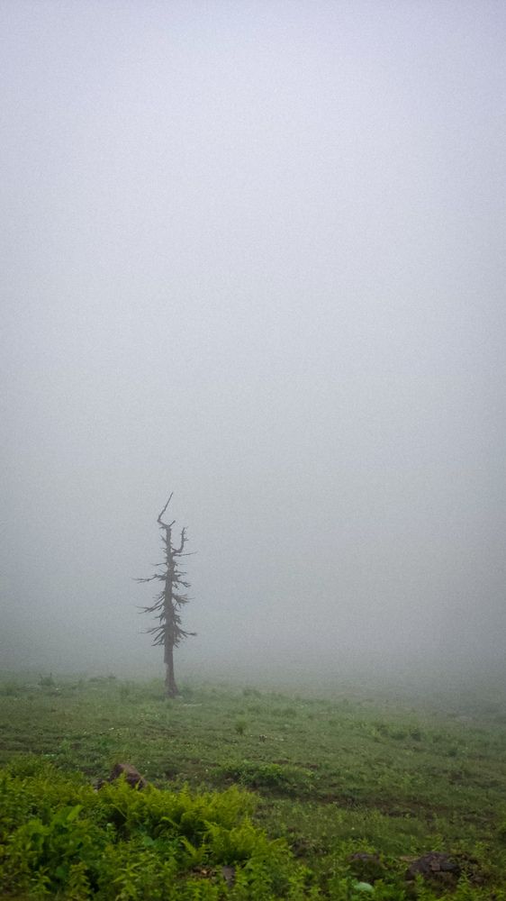 Photograph by Евгения Гродинская