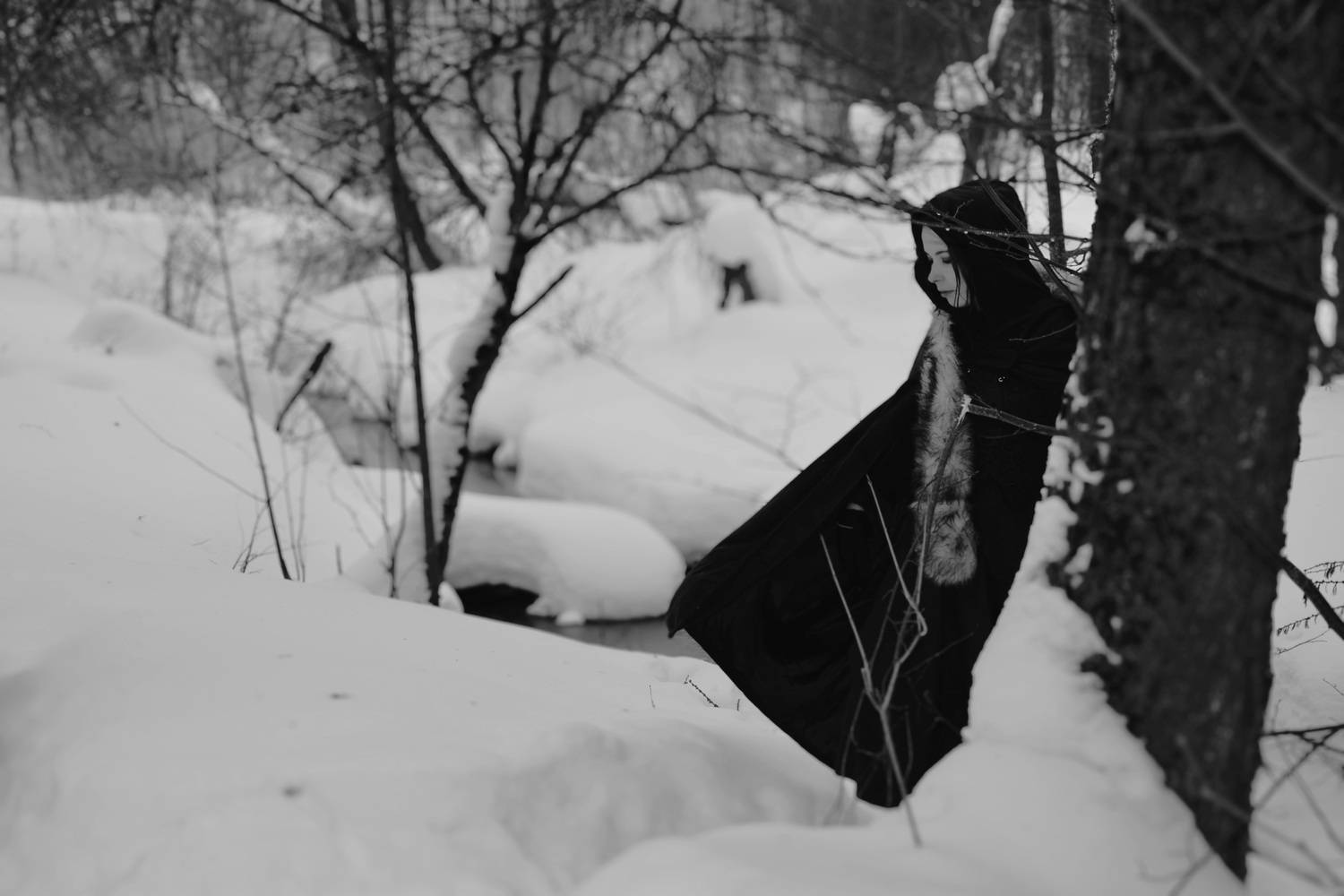 Photo #13669479