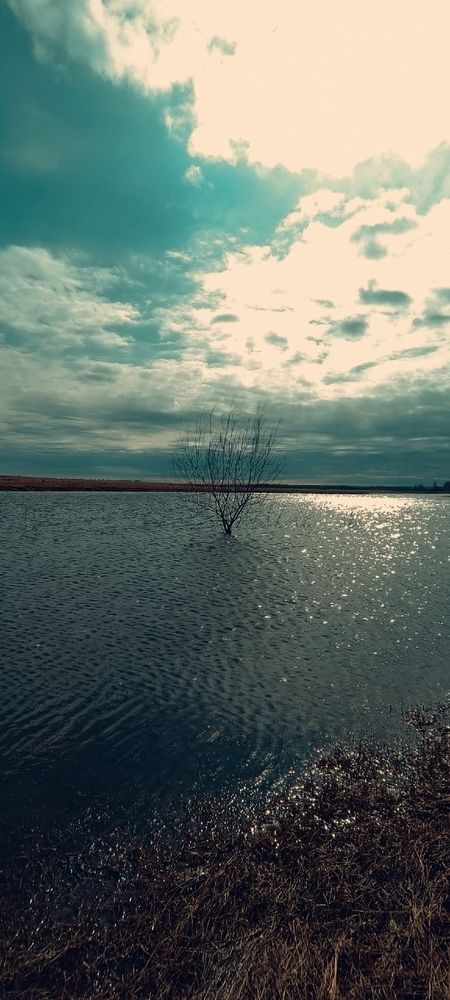 Photograph by Елена Калинина