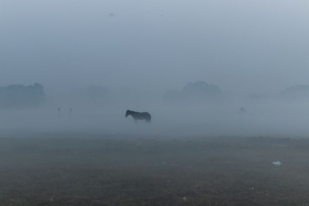 Photograph by Saumi Biswas
