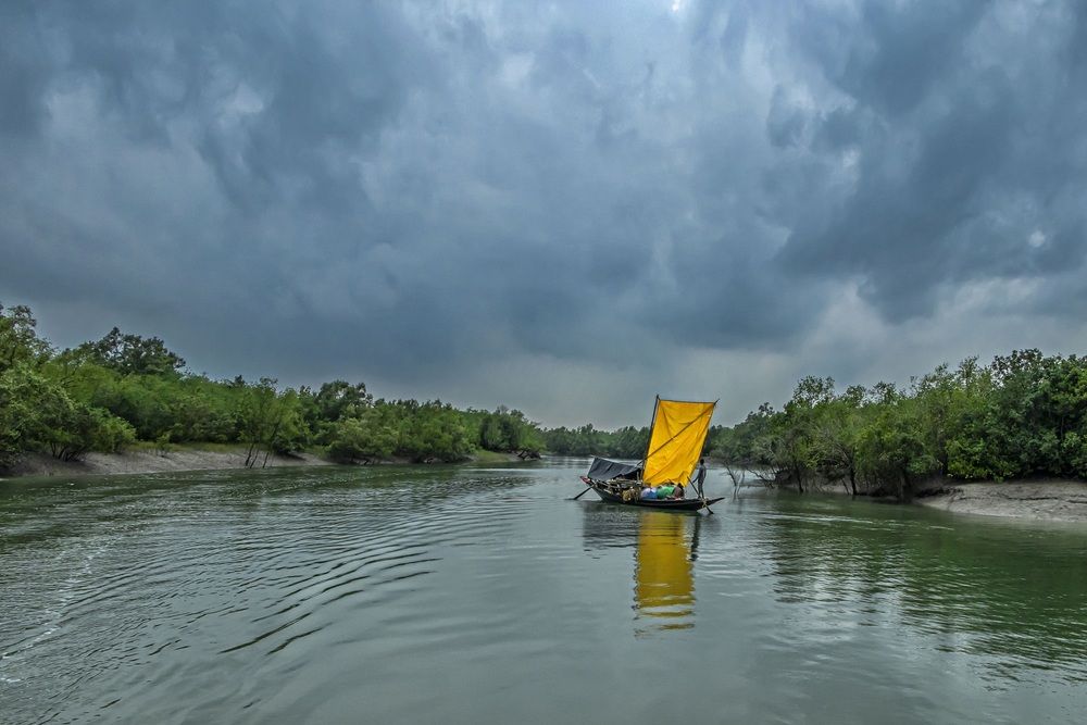 Photograph by Saumi Biswas