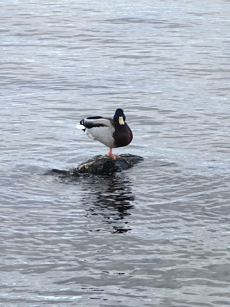 Photograph by Ольга Попова