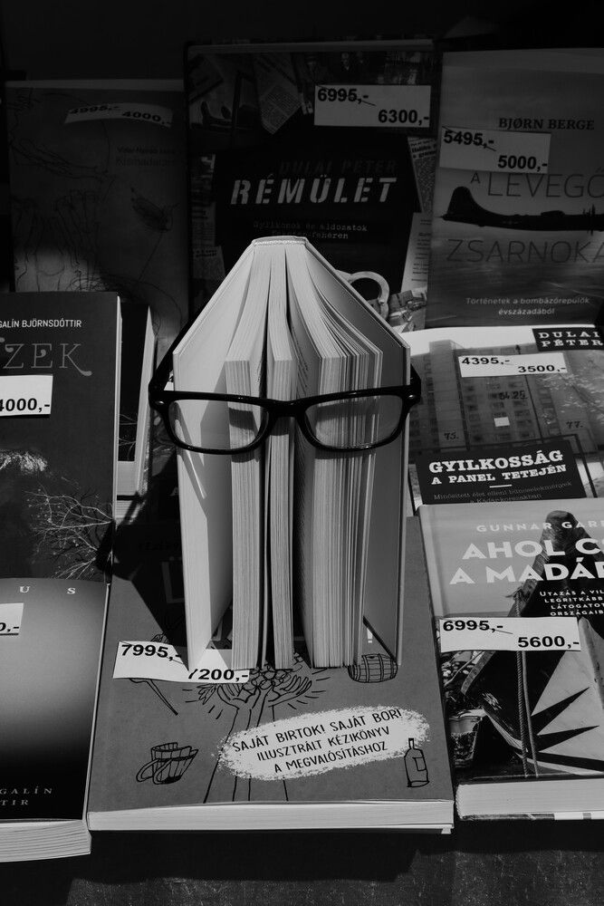 The Reader