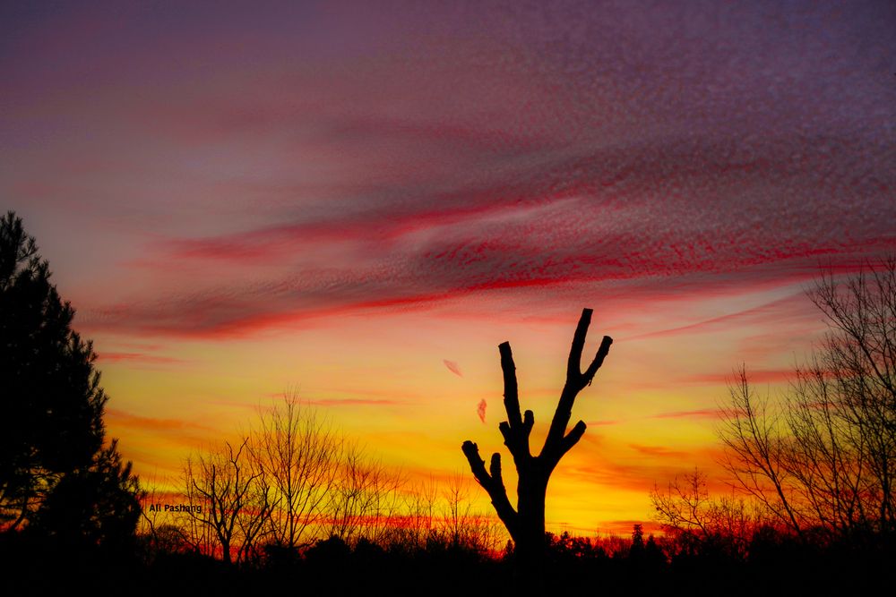 Photograph by ALI Pashang