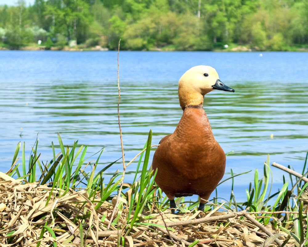 Photograph by Юлия