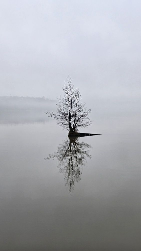 Photograph by Мария Иванова
