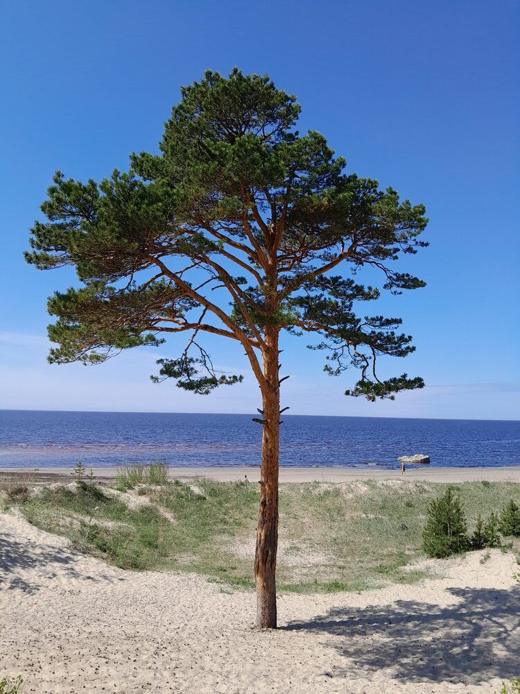 Photograph by Виталий Глазачев