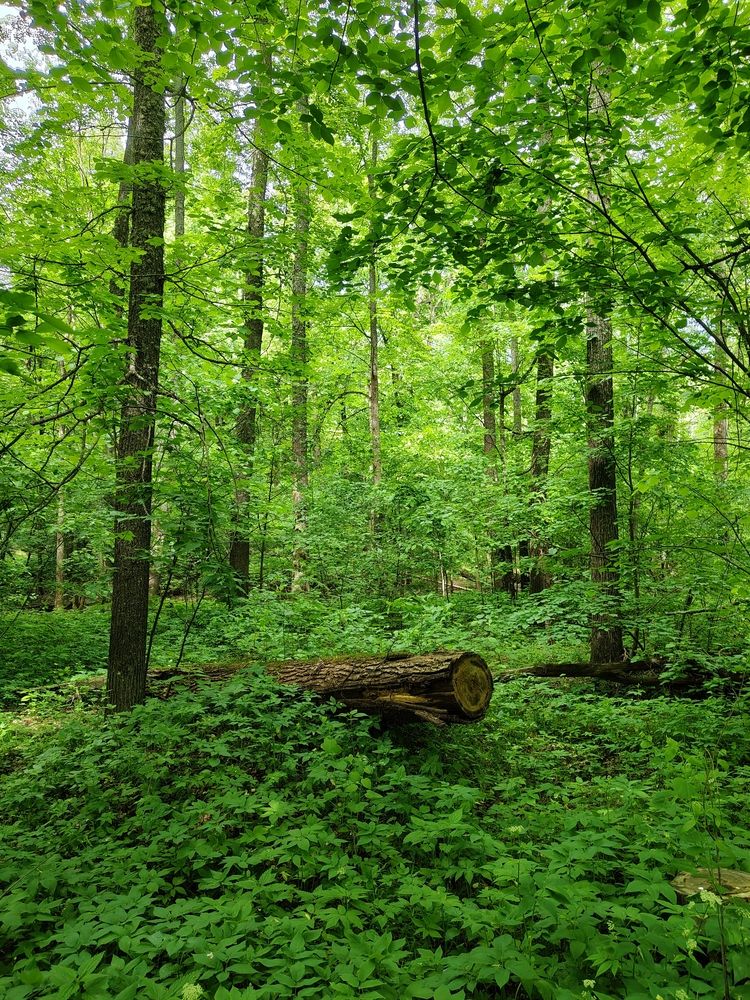 Photograph by Сергей Александрович